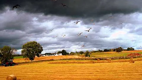 Donald Bain Photo 22