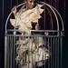 Jing Luo Photo 37