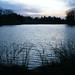 Beverly Pond Photo 21