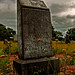 Sharon Gray Photo 42