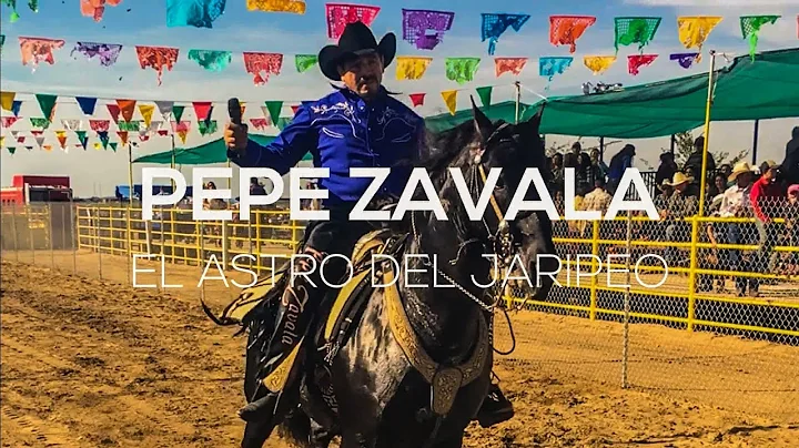 Tracy Zavala Photo 16