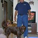 Craig Lincoln Photo 22