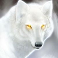Michael Moorehead Photo 6