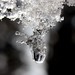 April Winters Photo 38
