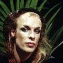 Brian Eno Photo 6