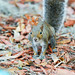 Ed Wilburn Photo 19