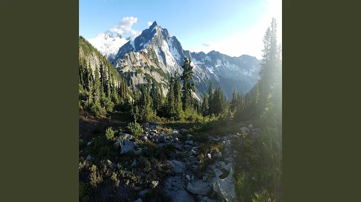 Brenda Wilber Photo 19