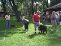 Connie Schlegel Photo 8