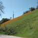 Kathy Kirkwood Photo 28