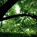 Frank Withers Photo 16