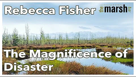 Rebecca Fisher Photo 41
