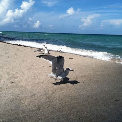 Kevin Beck Photo 16