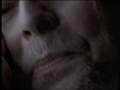 David Hunger Photo 16