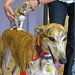 Laura Brindle Photo 24