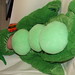 Jean Hedrick Photo 13