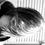 Stephen Nuttall Photo 17