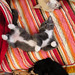Gracie Murphy Photo 24
