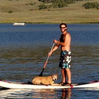 Mark Stepp Photo 2