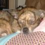 Deborah Hager Photo 18