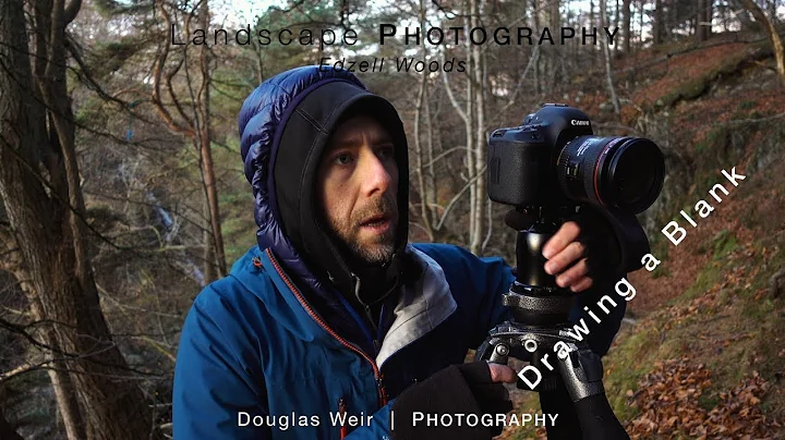 Douglas Weir Photo 32