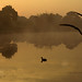 Dawn Wallace Photo 13