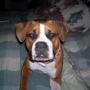 Cheri Meyers Photo 19