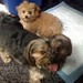 Lucy Wiley Photo 24