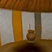 Hui Gan Photo 24