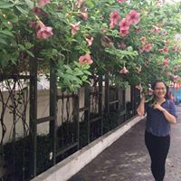 Giang Doan Photo 1