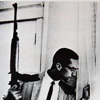 Maurice Adams Photo 4