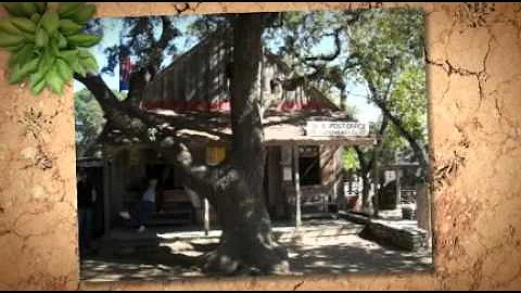 Loraine Watson Photo 6