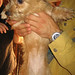 Alice Grossi Photo 20