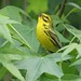 David Prairie Photo 18