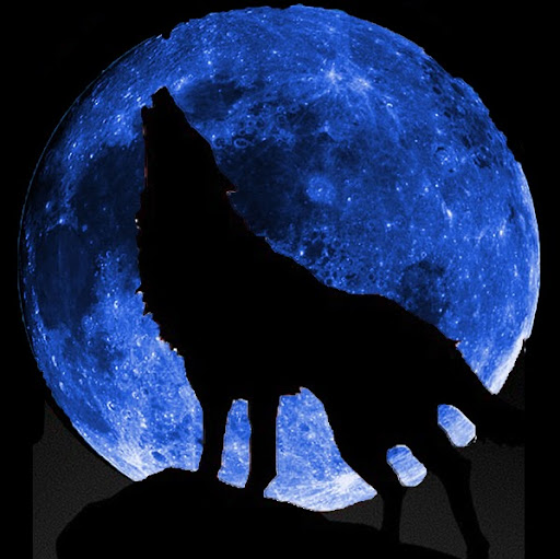 Bruce Wolf Photo 13