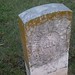 Thomas Welch Photo 49