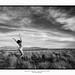 Michael Pascale Photo 32