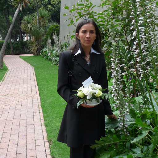 Alicia Suarez Photo 11