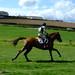 Brian Gallop Photo 20