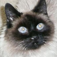 Michelle Duke Photo 5