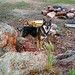 Keesha White Photo 26