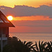 Agustin Palma Photo 30