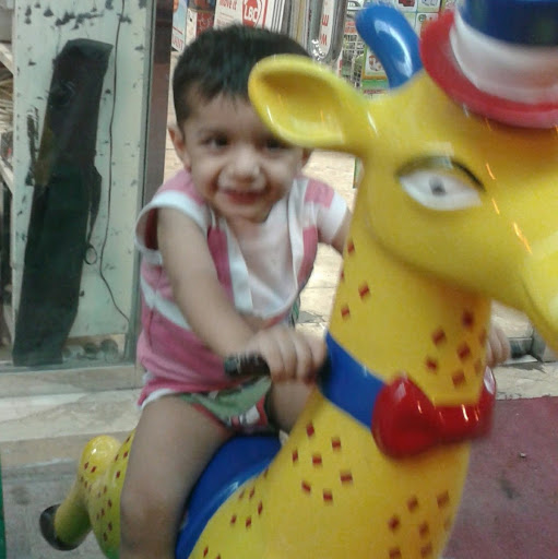 Mir Hassan Photo 9