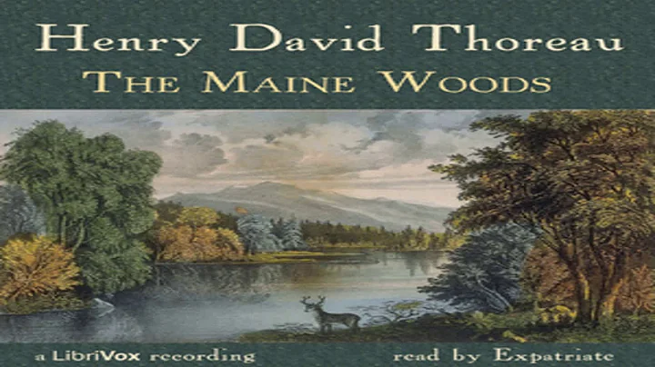 David Maine Photo 22