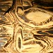 Jason Parr Photo 37