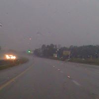 Sandy Prince Photo 1