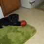 Peggy Crow Photo 20