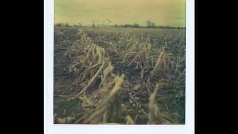 Scott Tuma Photo 14