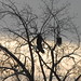 Karen Eagles Photo 21