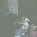 Teresa Mcneely Photo 33
