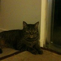 Winston Greene Photo 1